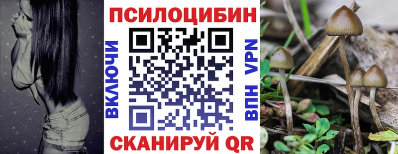 Купить  Кемь  Псилоцибиновые грибы прущие грибы 